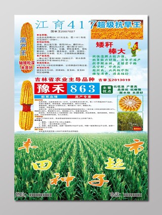 种子超市玉米粮食农产品海报
